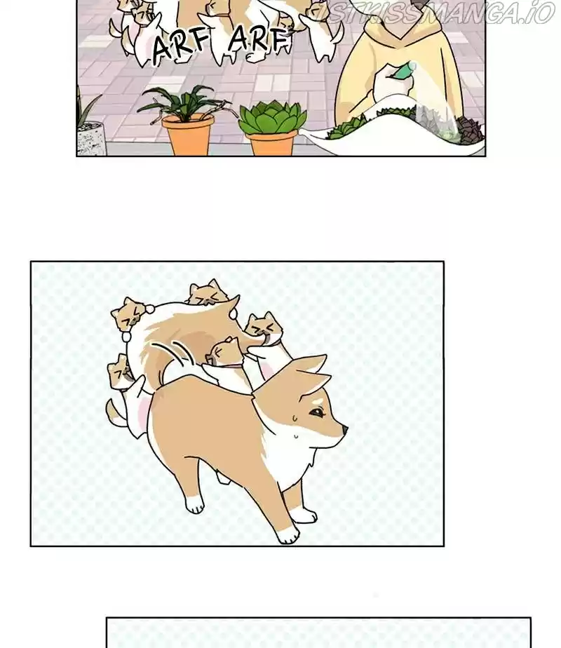 The Dog Diaries Chapter 17