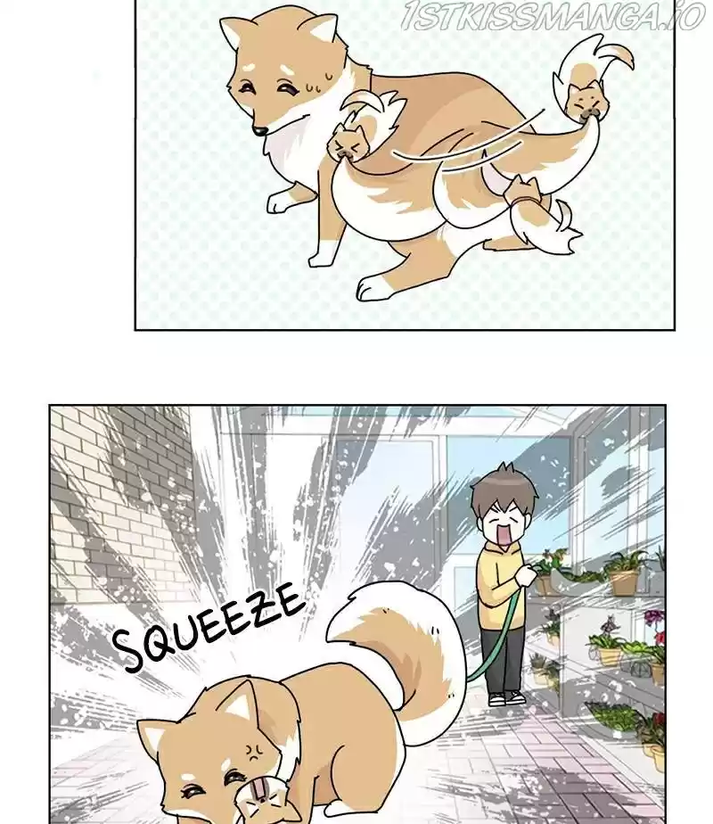 The Dog Diaries Chapter 17