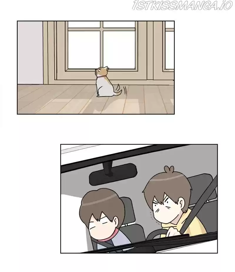 The Dog Diaries Chapter 17