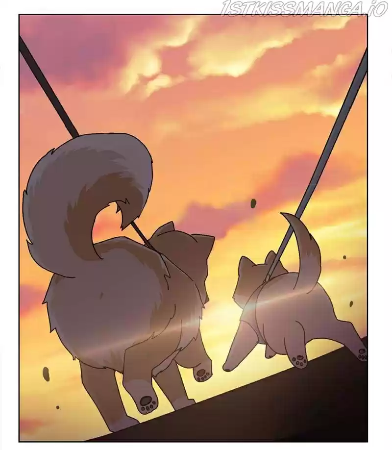 The Dog Diaries Chapter 17