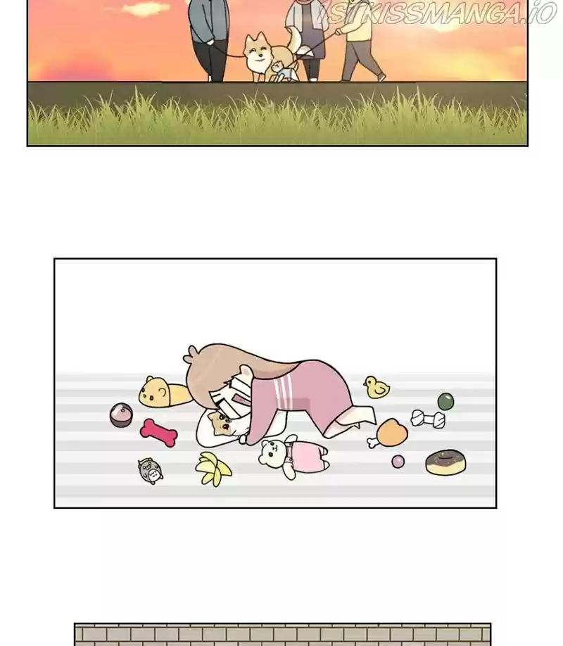 The Dog Diaries Chapter 17