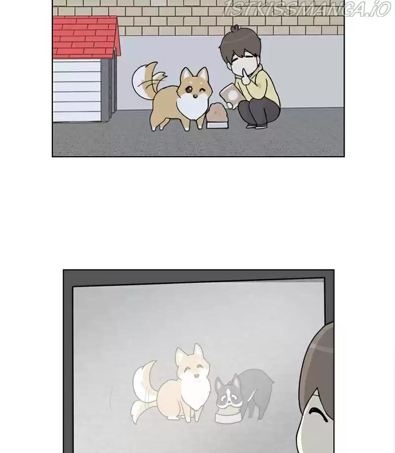 The Dog Diaries Chapter 17