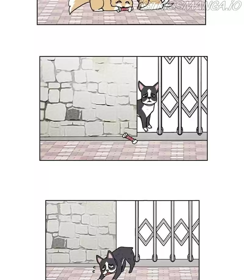 The Dog Diaries Chapter 17