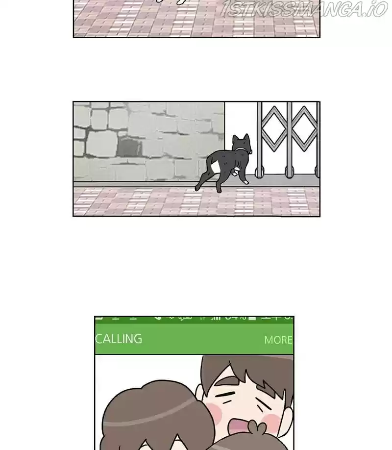 The Dog Diaries Chapter 17