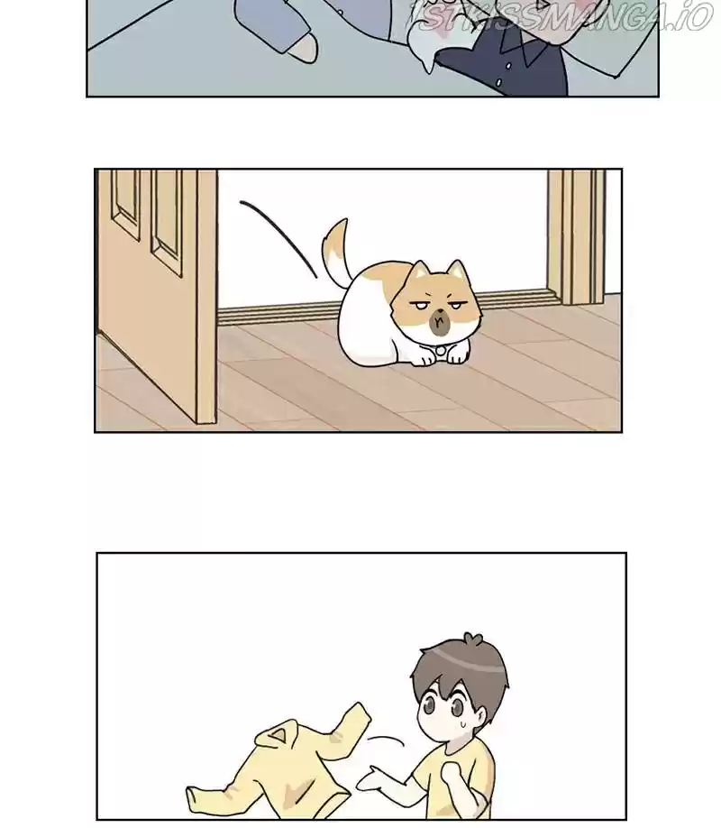 The Dog Diaries Chapter 17