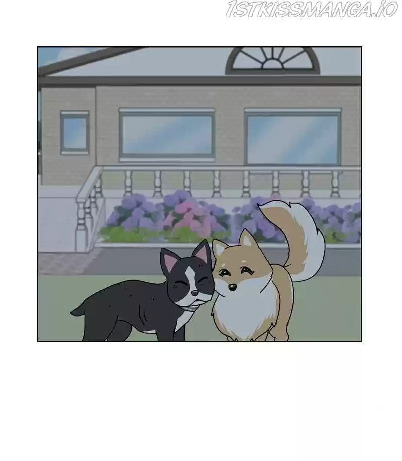 The Dog Diaries Chapter 17