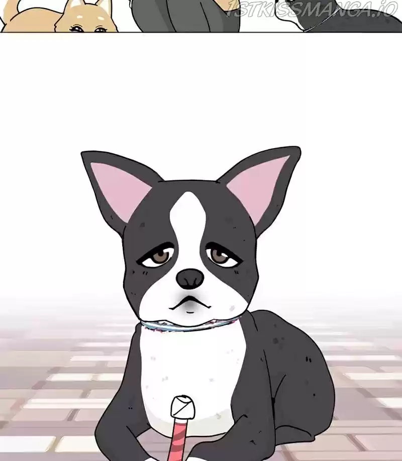 The Dog Diaries Chapter 17