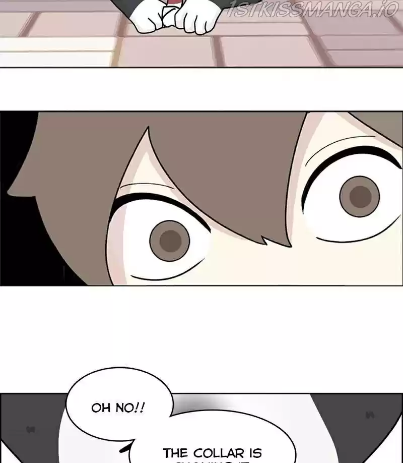 The Dog Diaries Chapter 17