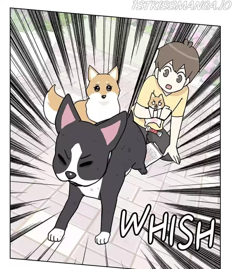 The Dog Diaries Chapter 17