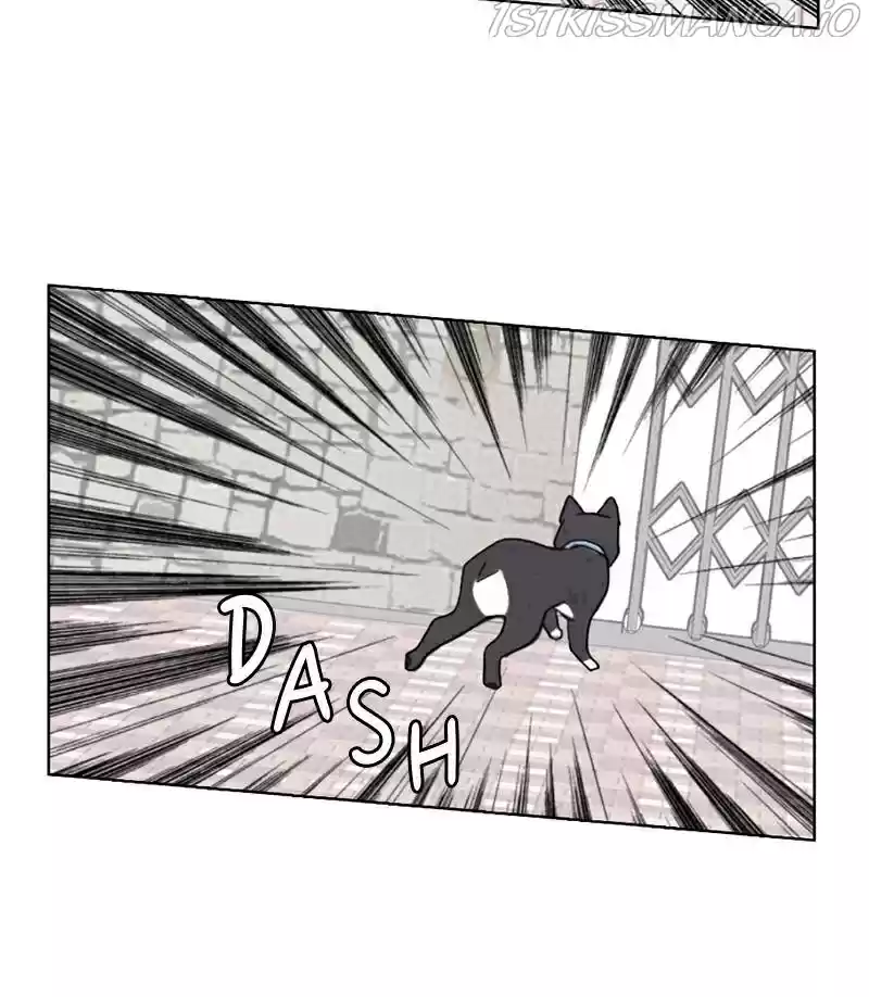 The Dog Diaries Chapter 17