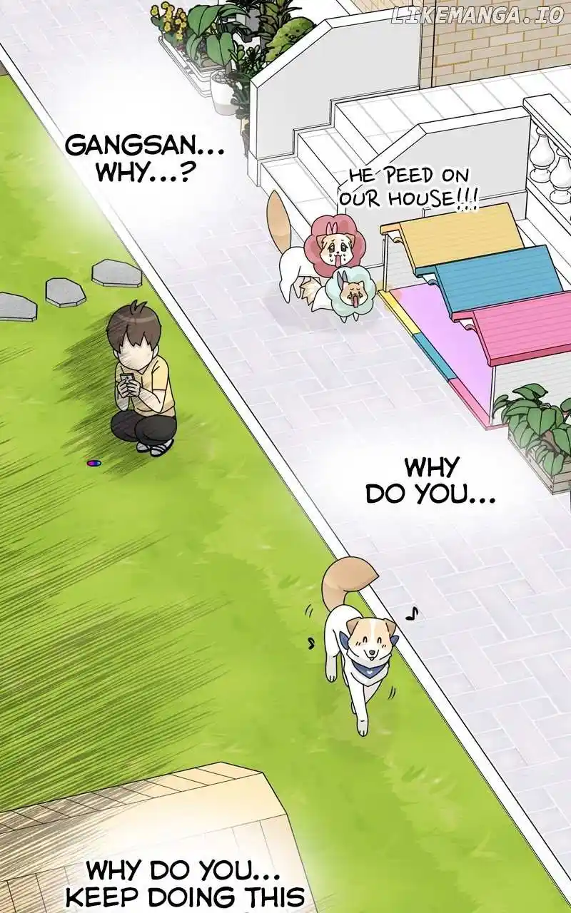 The Dog Diaries Chapter 170