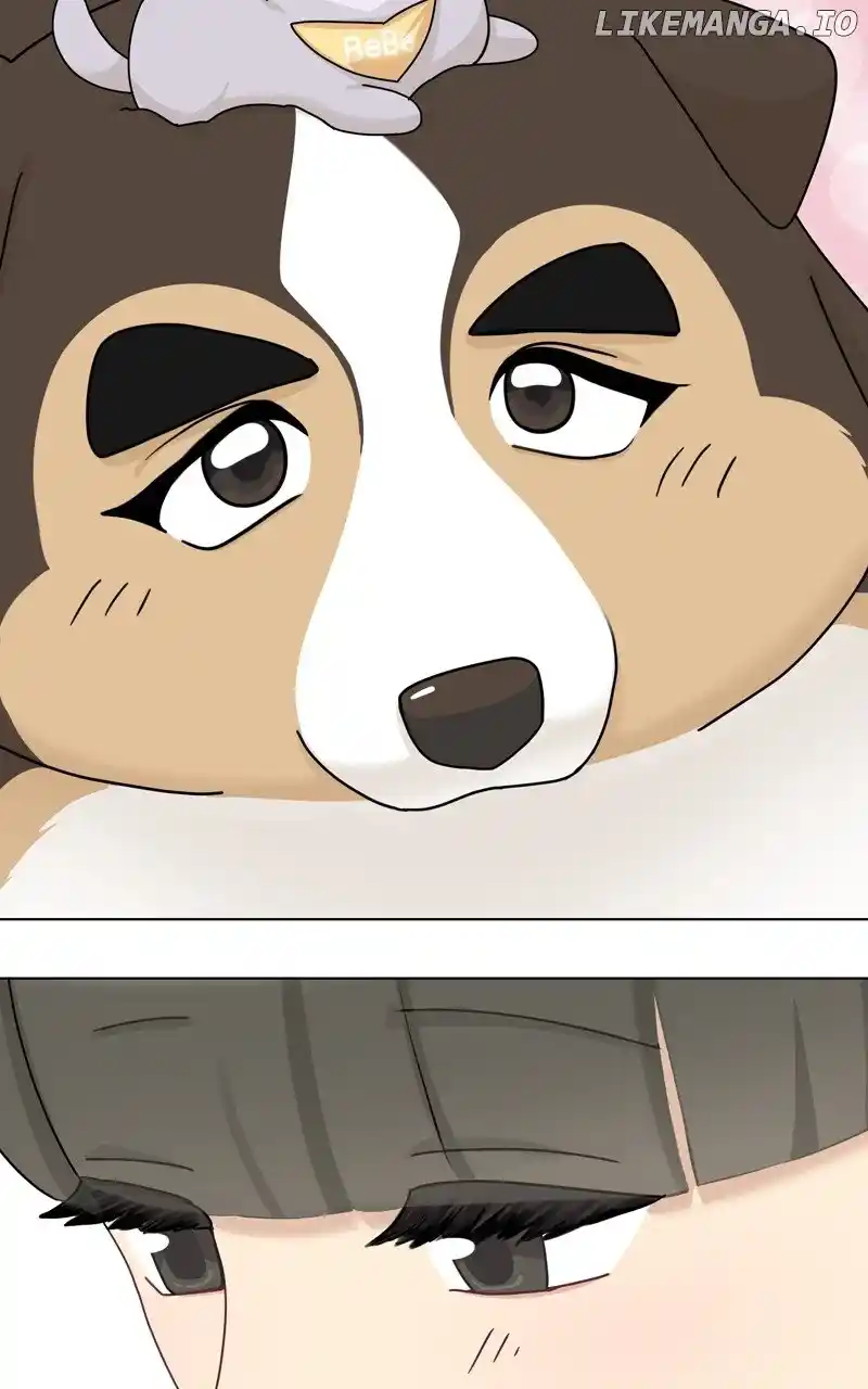 The Dog Diaries Chapter 175