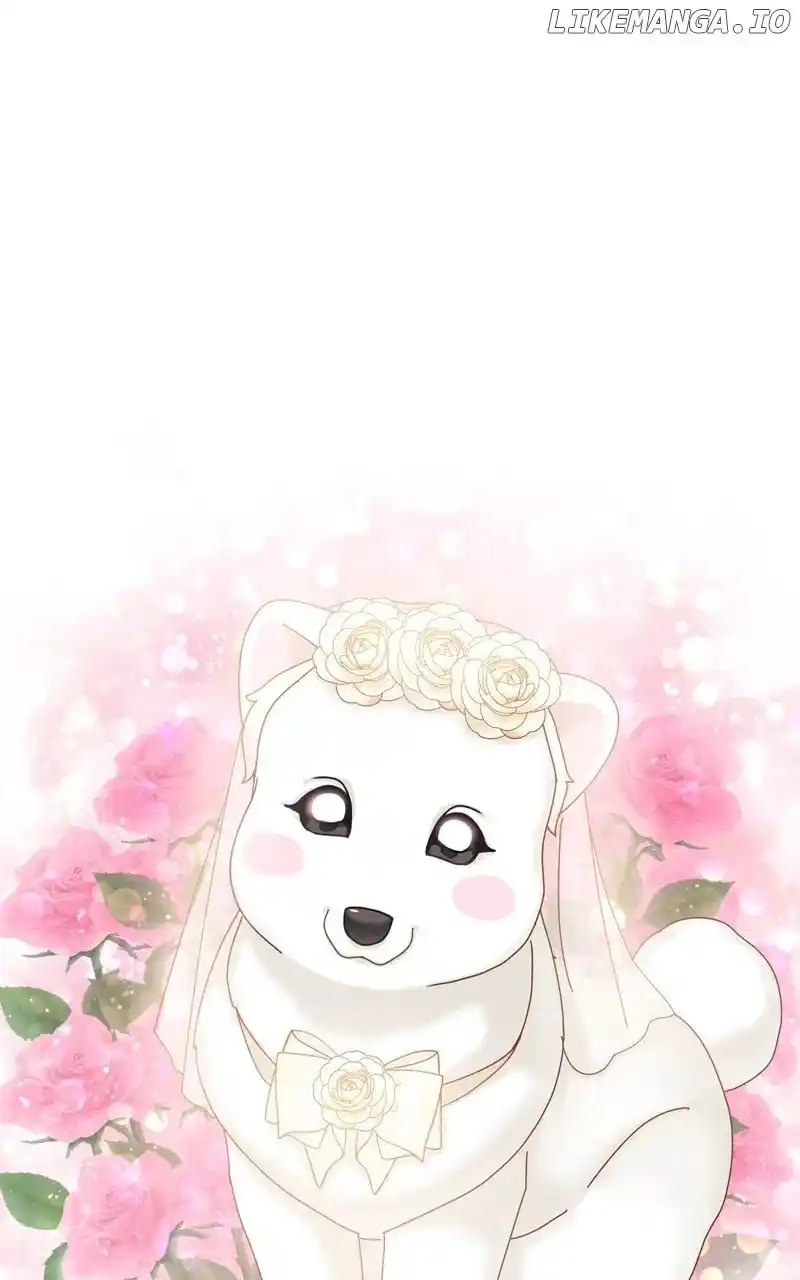 The Dog Diaries Chapter 176