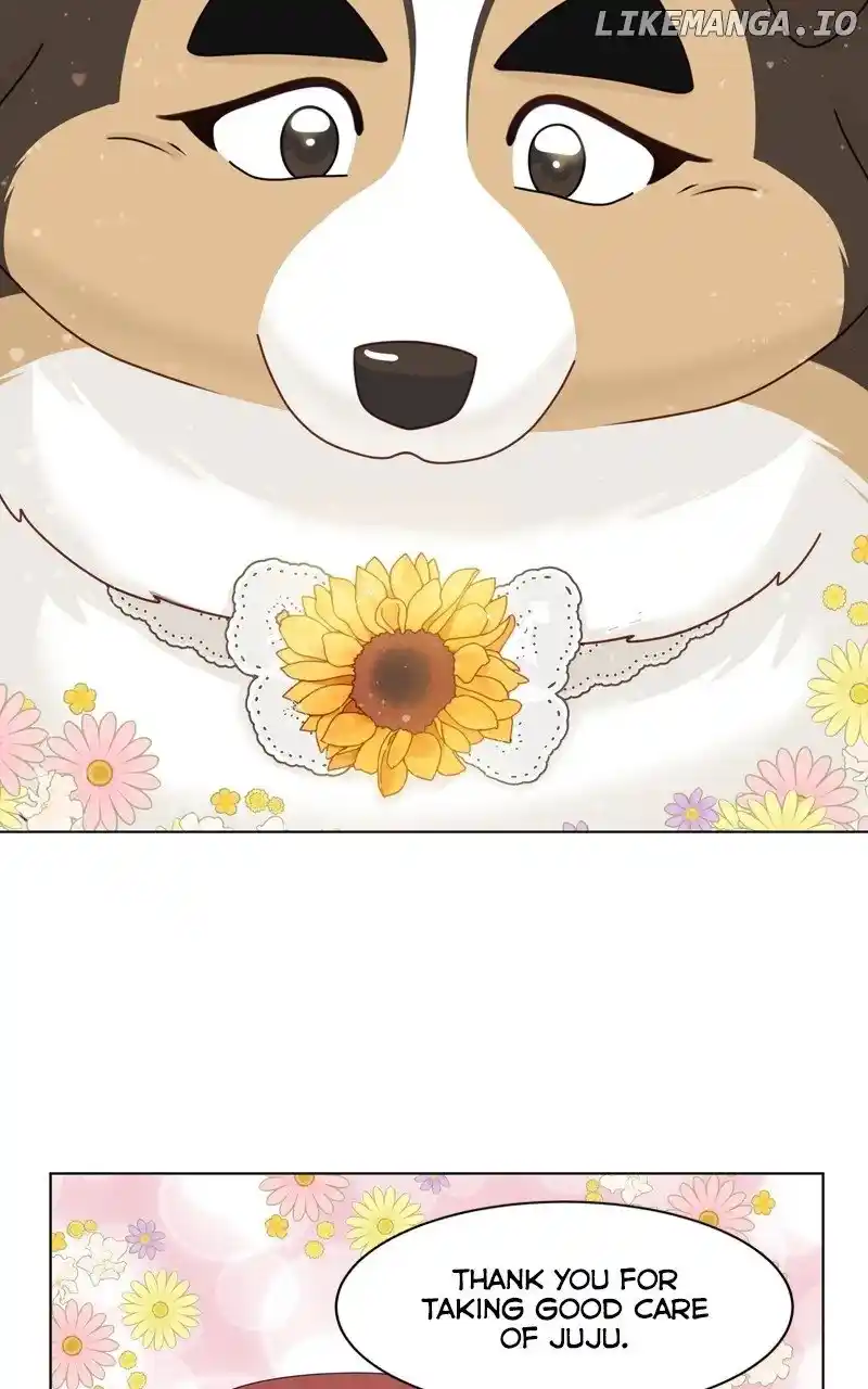 The Dog Diaries Chapter 177