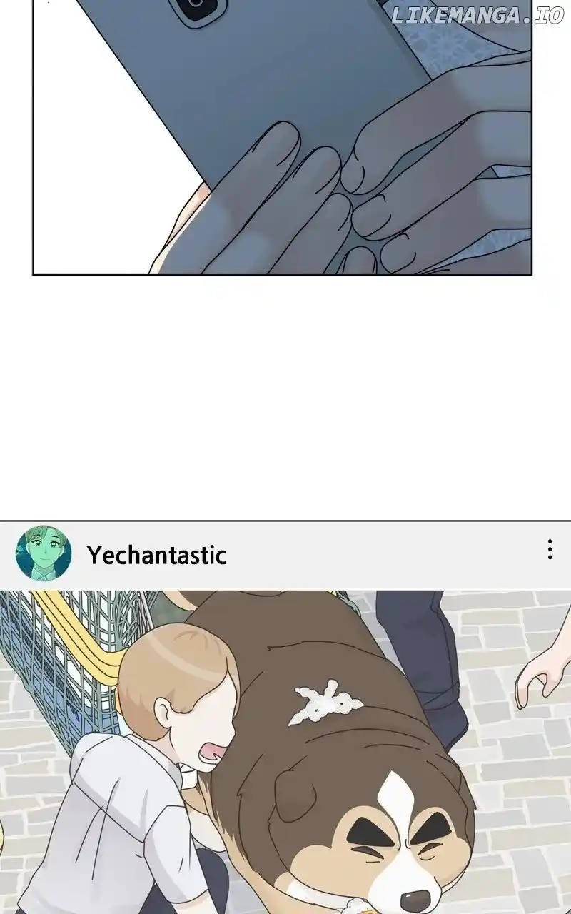 The Dog Diaries Chapter 177