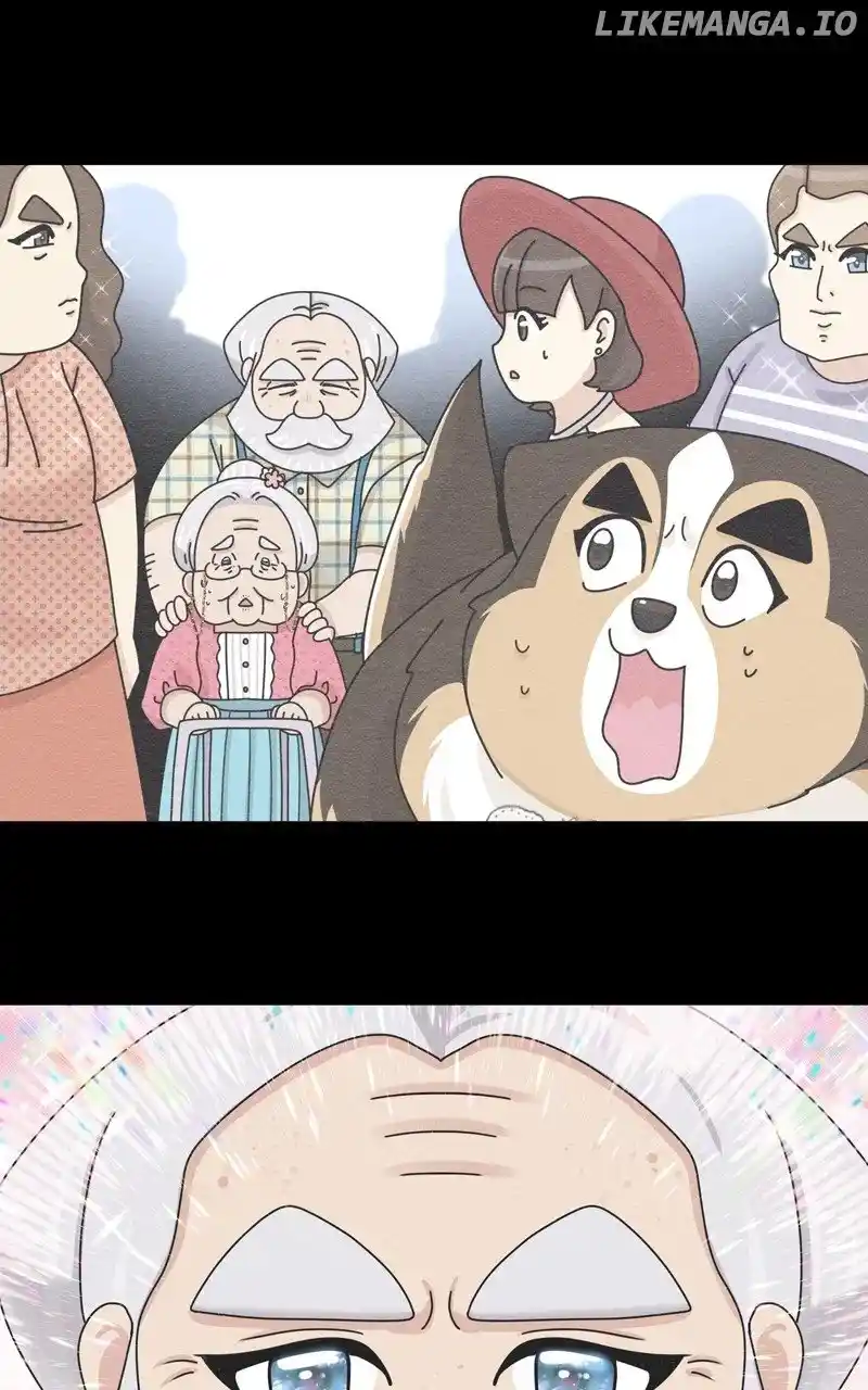 The Dog Diaries Chapter 178