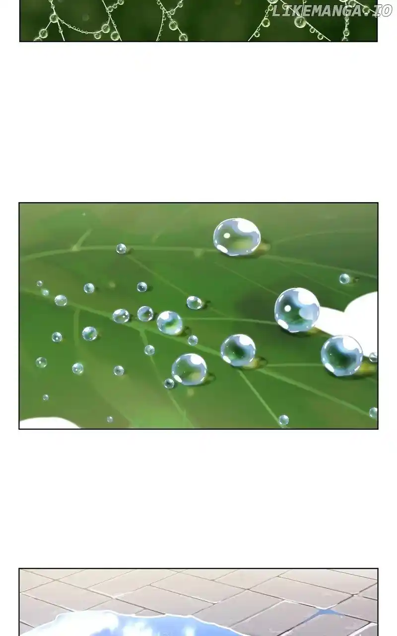 The Dog Diaries Chapter 178