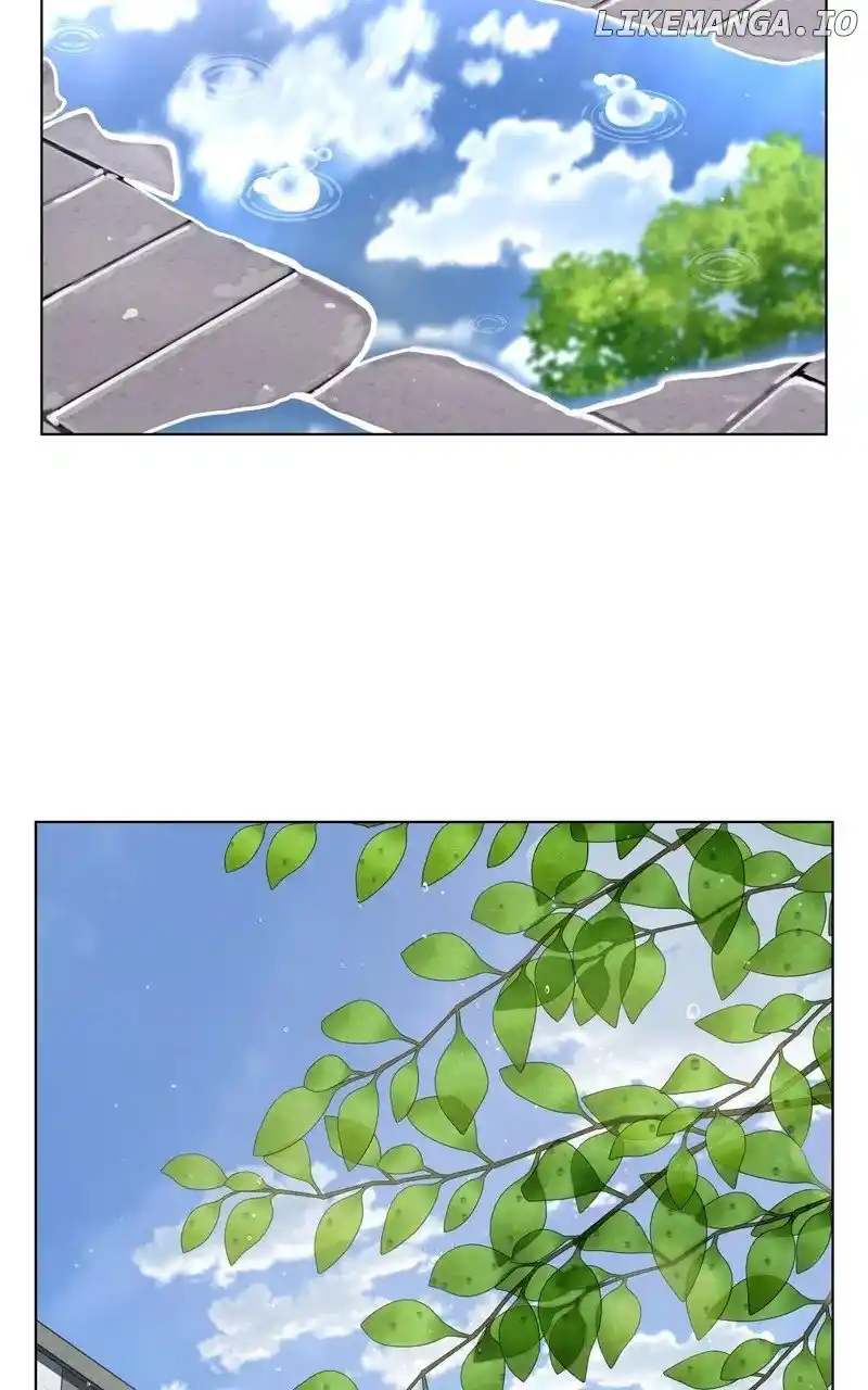 The Dog Diaries Chapter 178