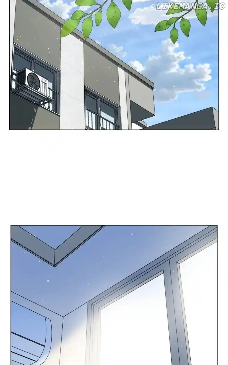 The Dog Diaries Chapter 178