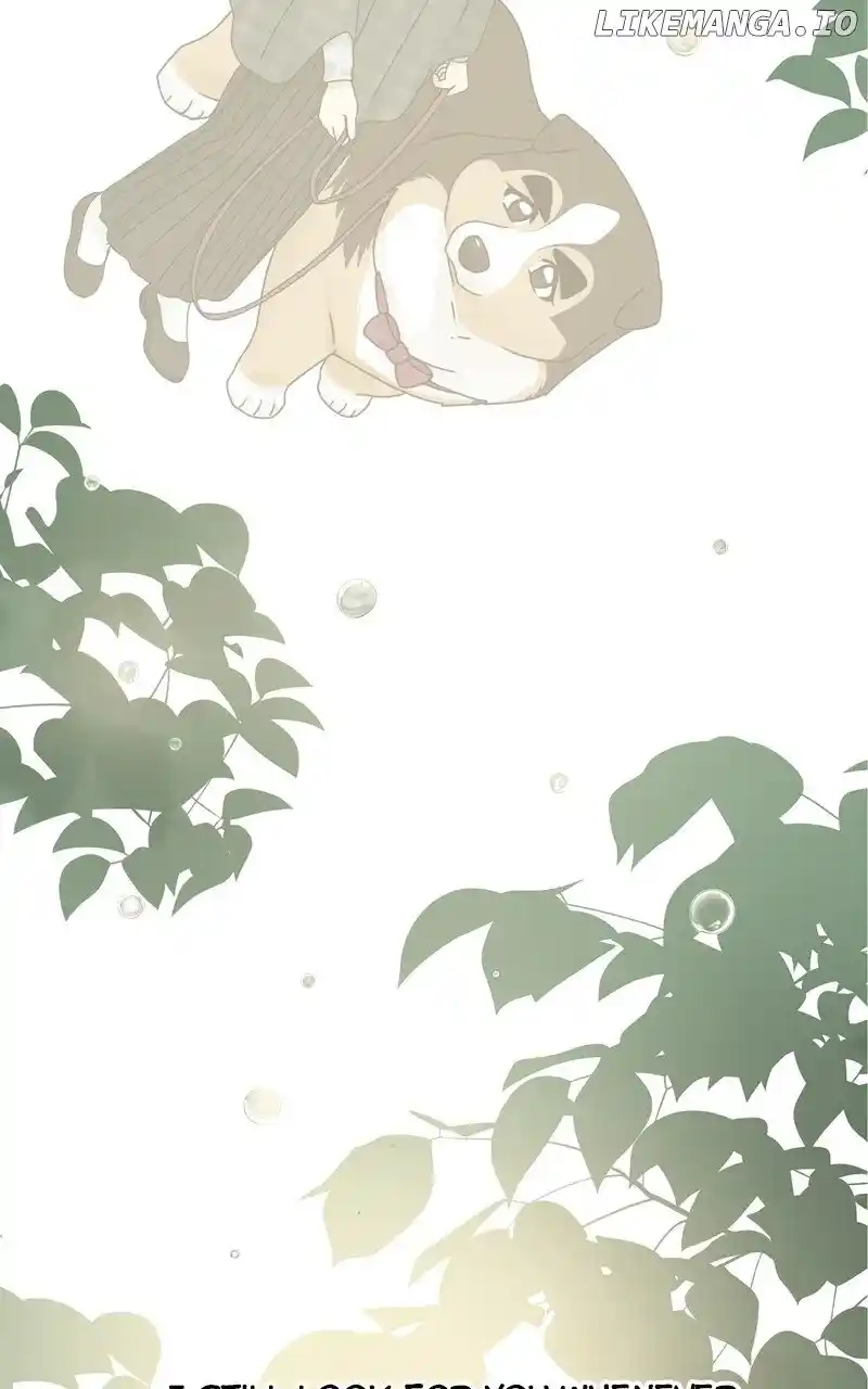 The Dog Diaries Chapter 178