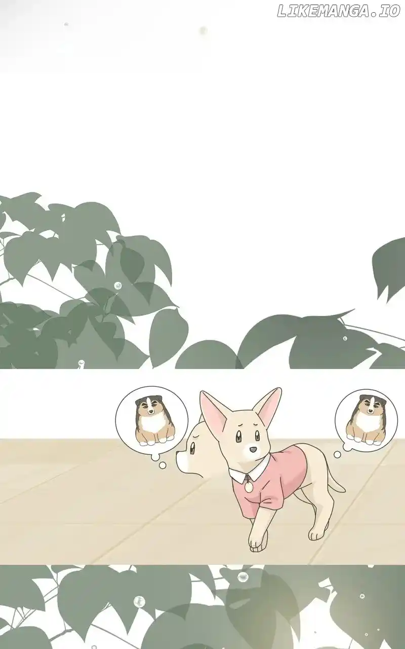 The Dog Diaries Chapter 178