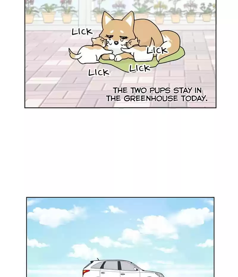 The Dog Diaries Chapter 18