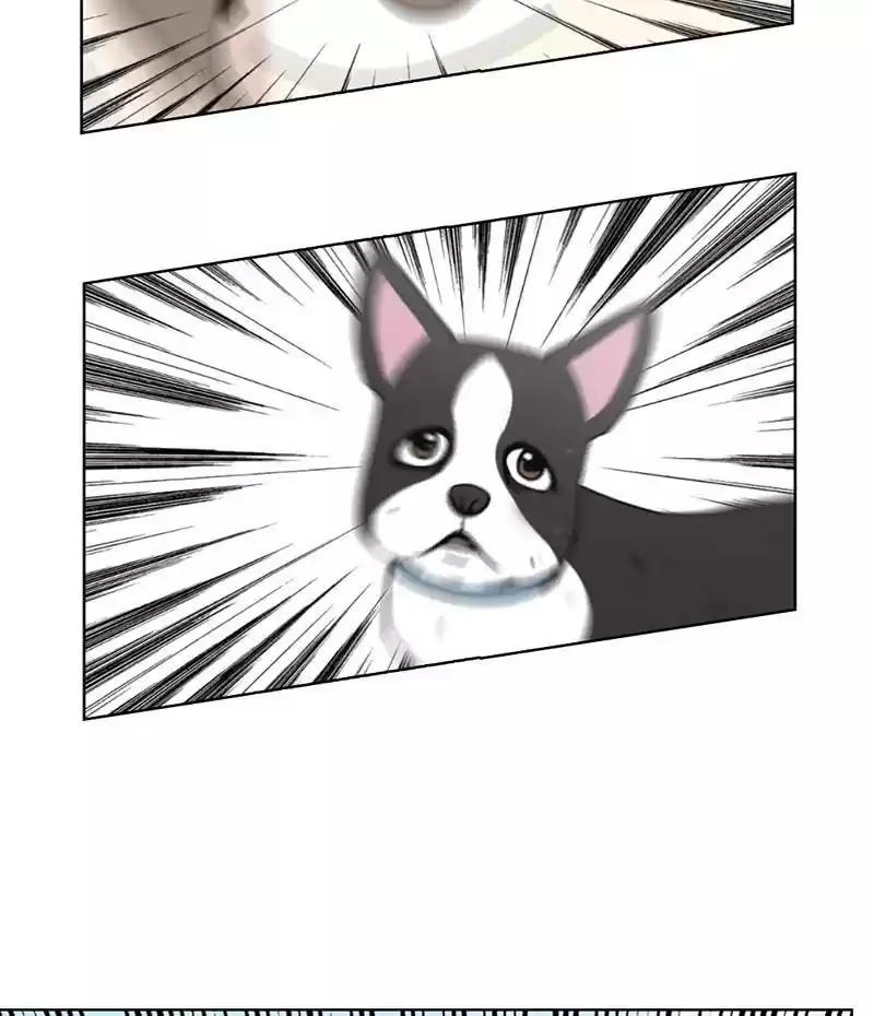 The Dog Diaries Chapter 18