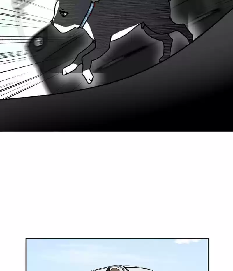 The Dog Diaries Chapter 18