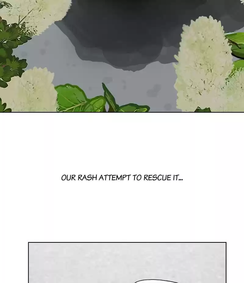 The Dog Diaries Chapter 18