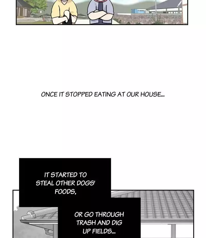 The Dog Diaries Chapter 18