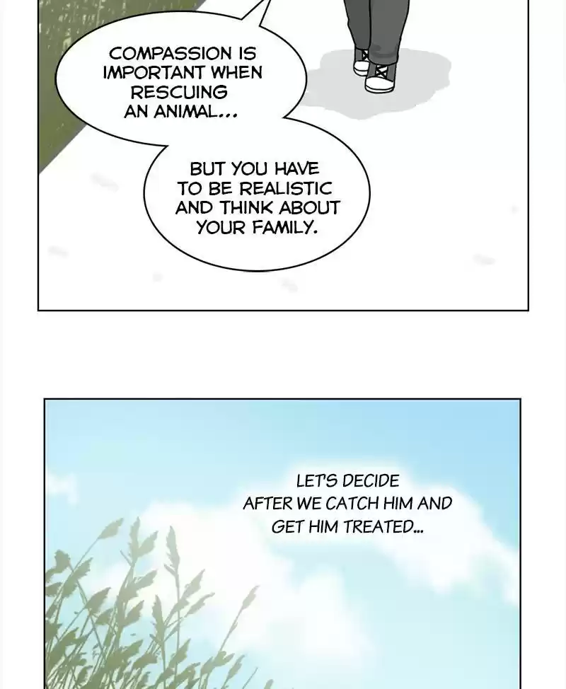 The Dog Diaries Chapter 19