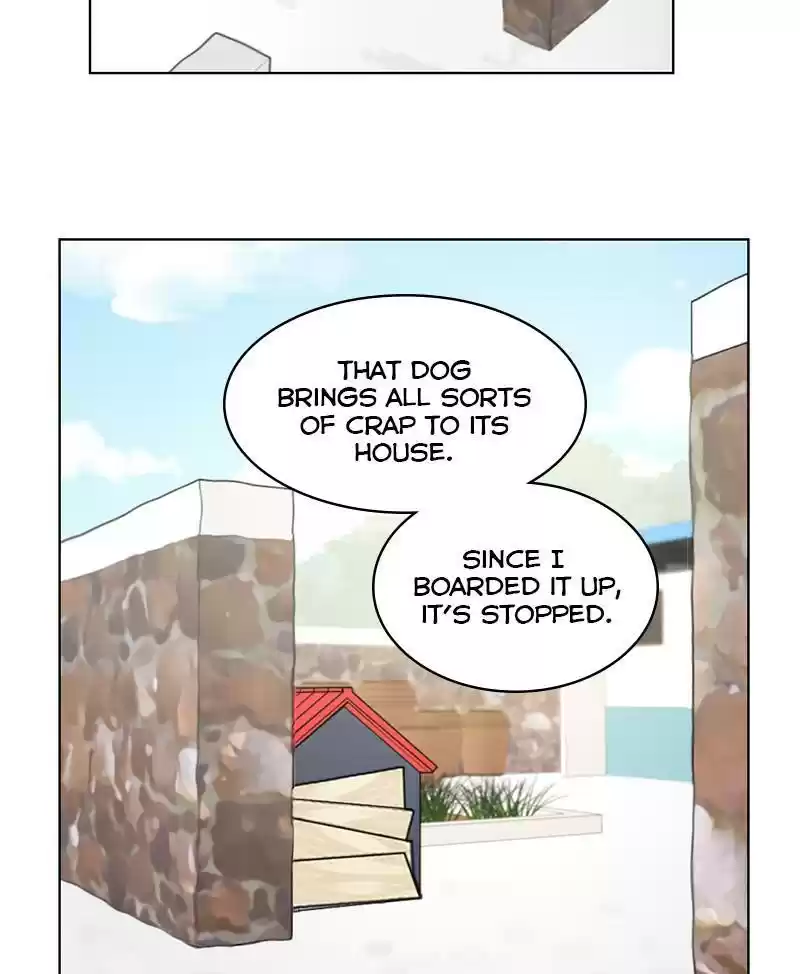 The Dog Diaries Chapter 19