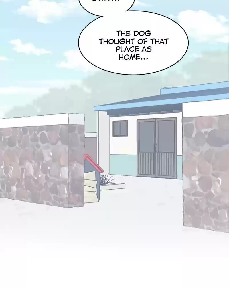 The Dog Diaries Chapter 19