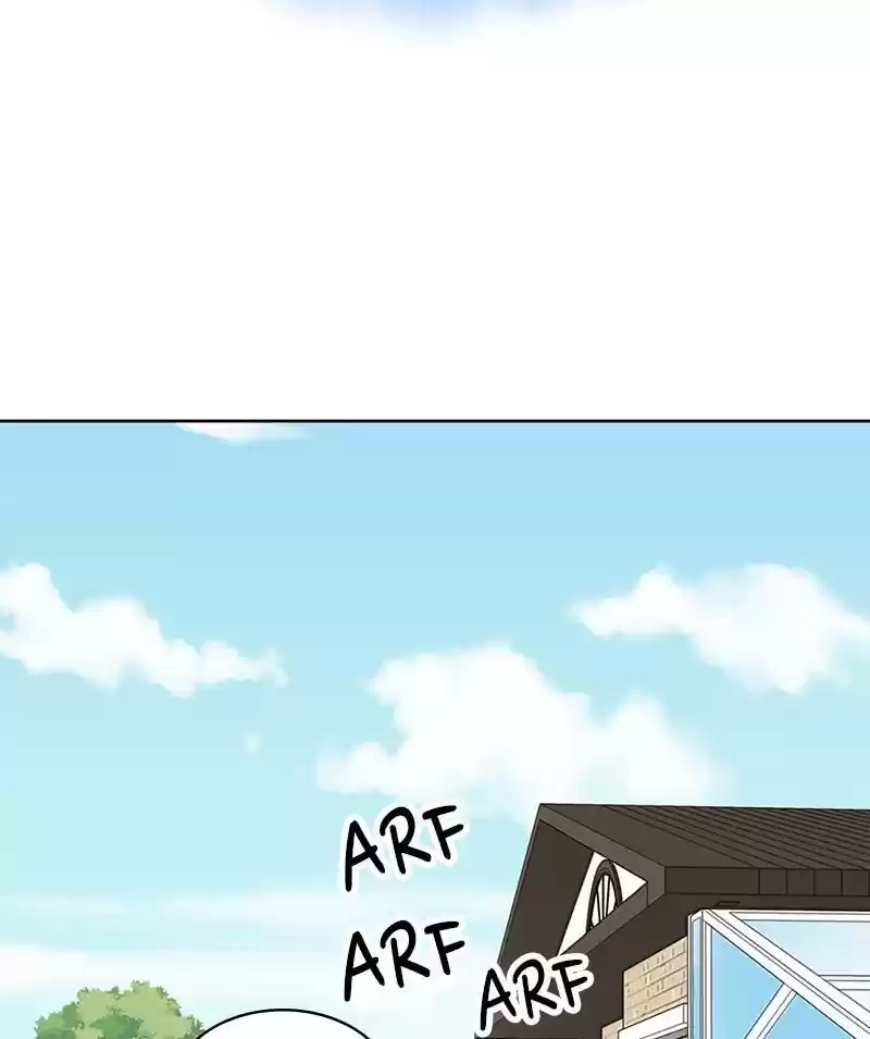 The Dog Diaries Chapter 19