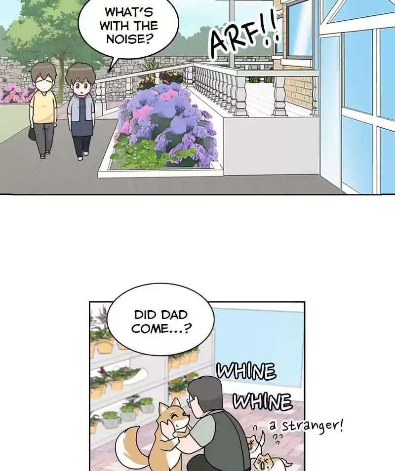 The Dog Diaries Chapter 19