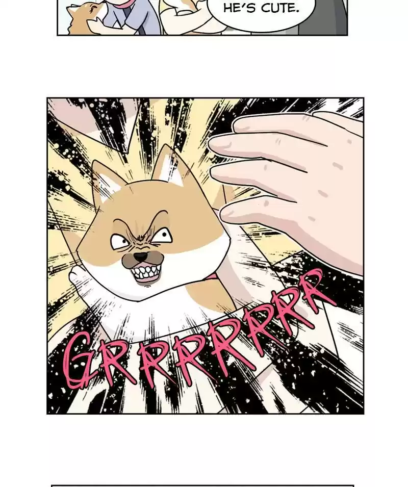 The Dog Diaries Chapter 19