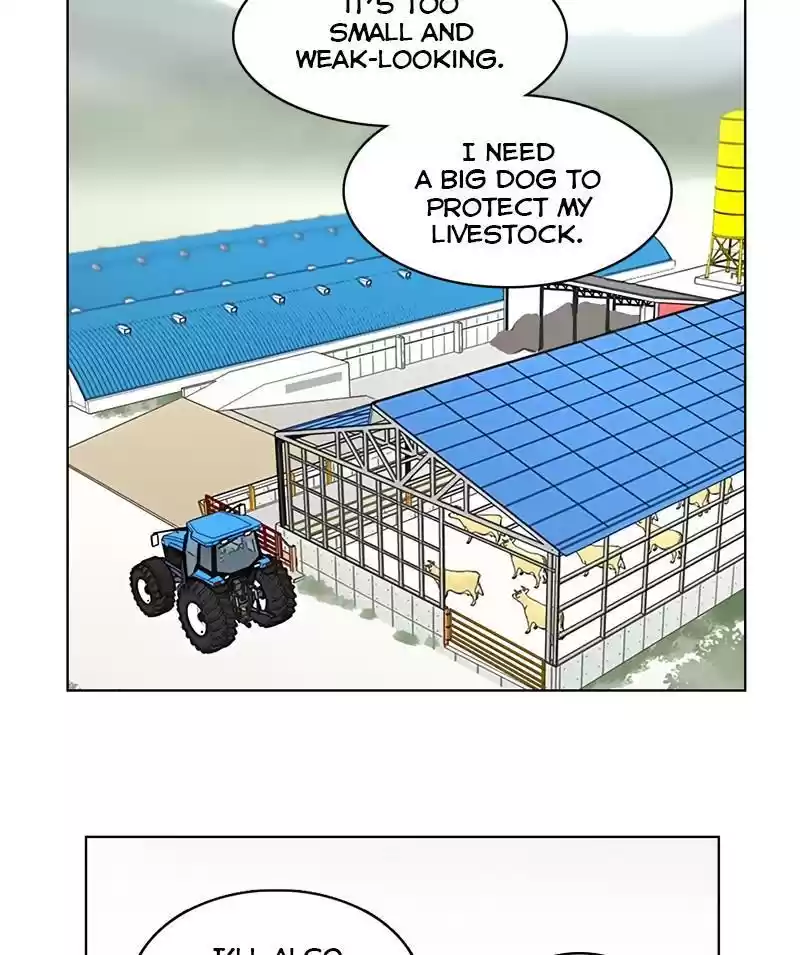 The Dog Diaries Chapter 19