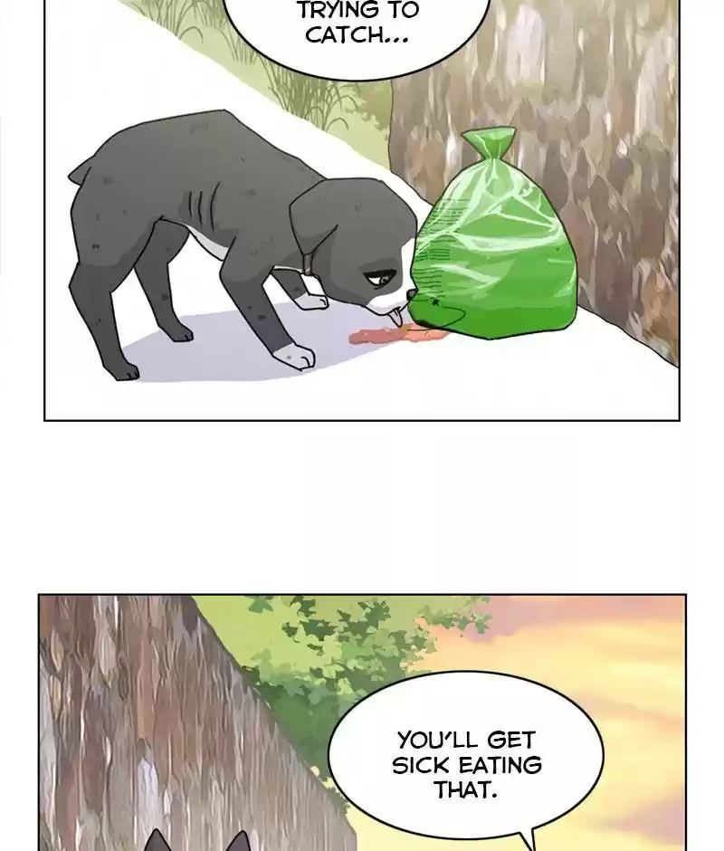 The Dog Diaries Chapter 19