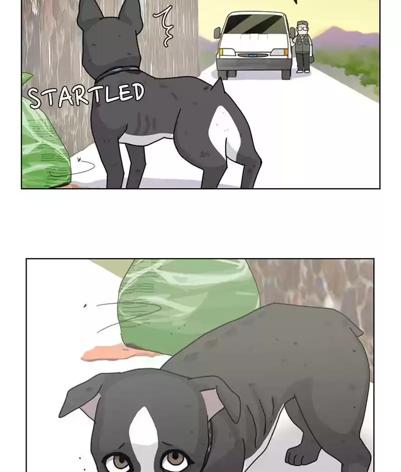 The Dog Diaries Chapter 19