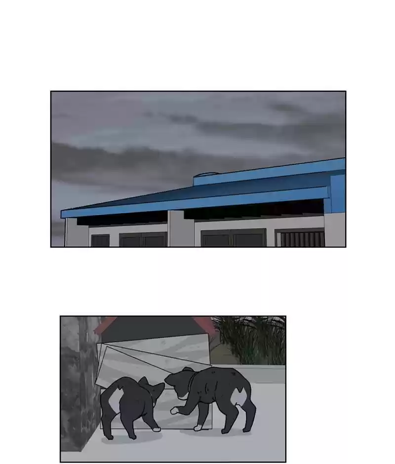 The Dog Diaries Chapter 19