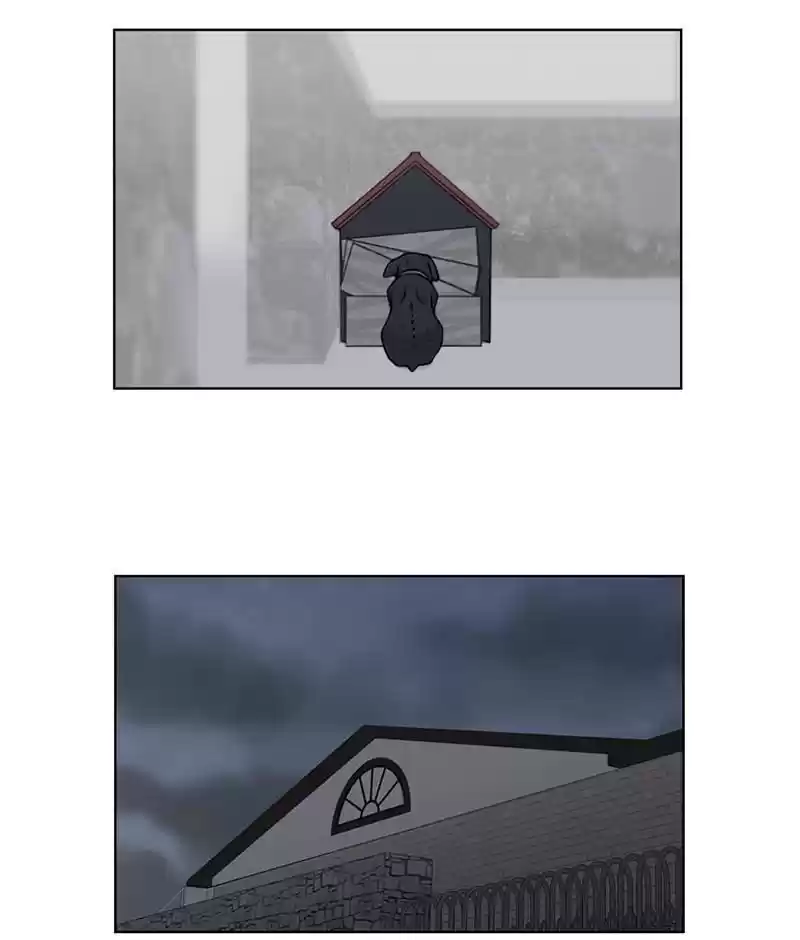 The Dog Diaries Chapter 19