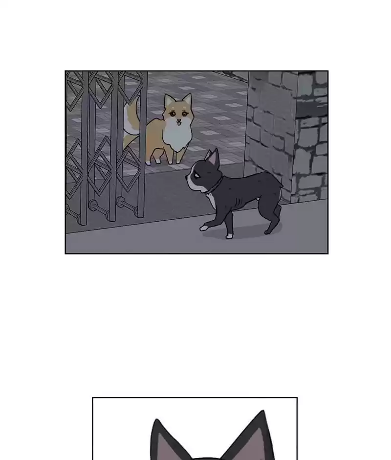 The Dog Diaries Chapter 19