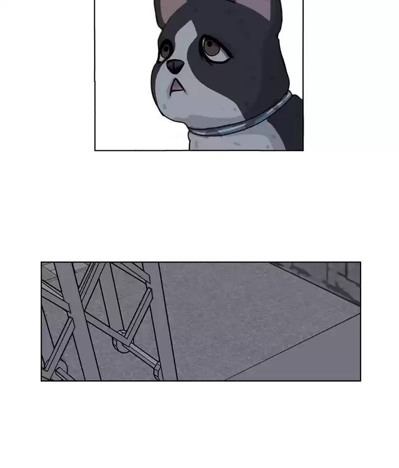 The Dog Diaries Chapter 19