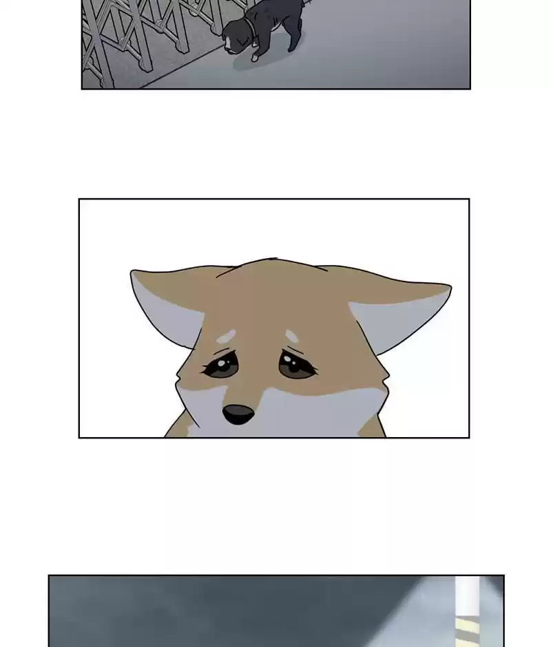 The Dog Diaries Chapter 19