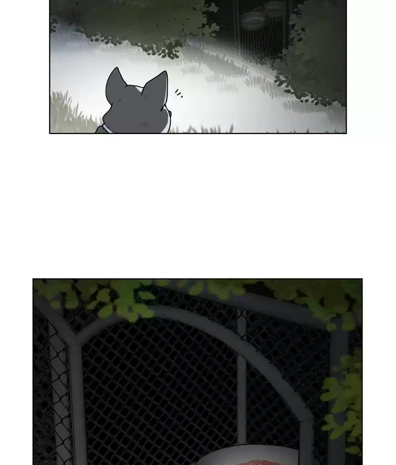 The Dog Diaries Chapter 19