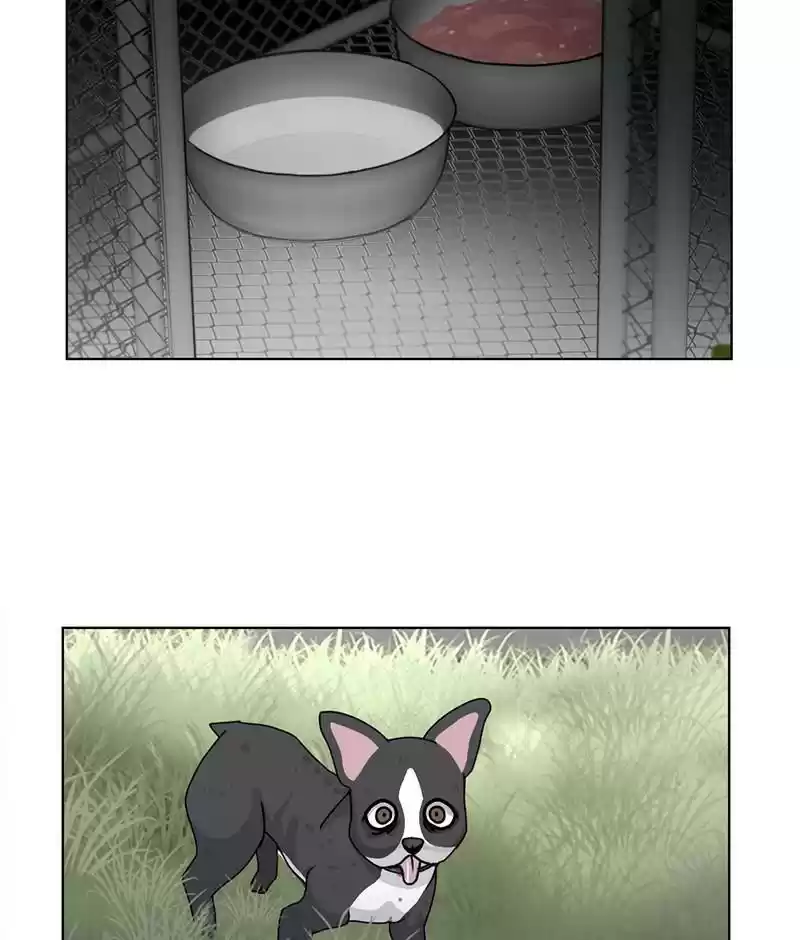 The Dog Diaries Chapter 19