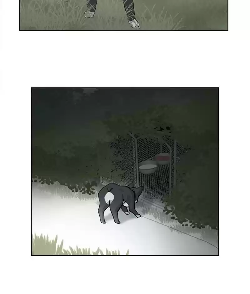 The Dog Diaries Chapter 19
