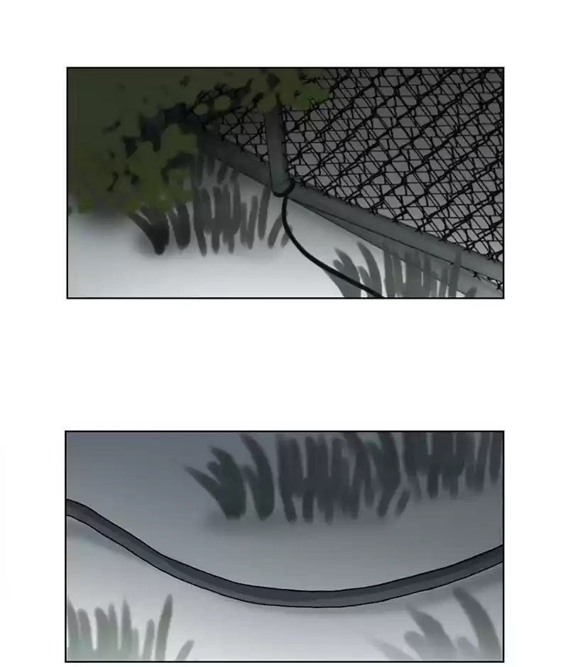 The Dog Diaries Chapter 19