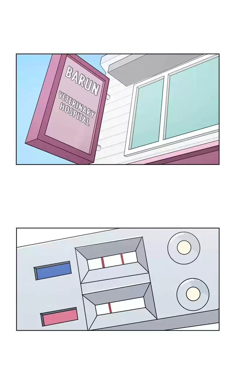 The Dog Diaries Chapter 2