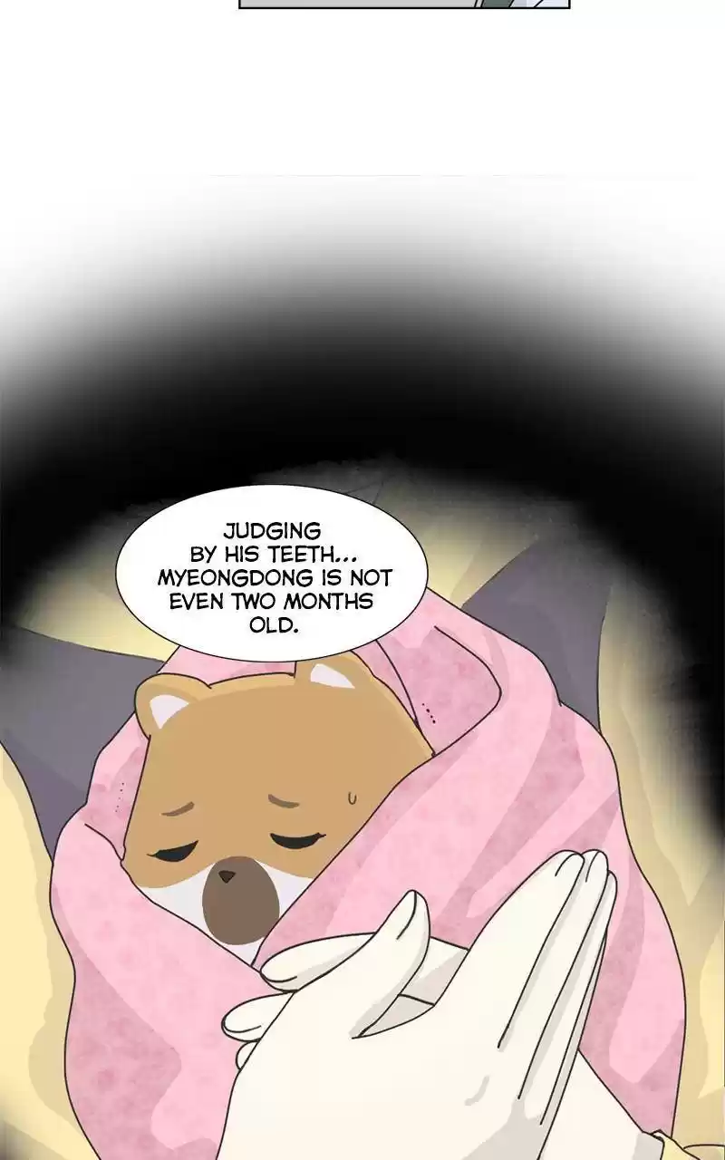 The Dog Diaries Chapter 2